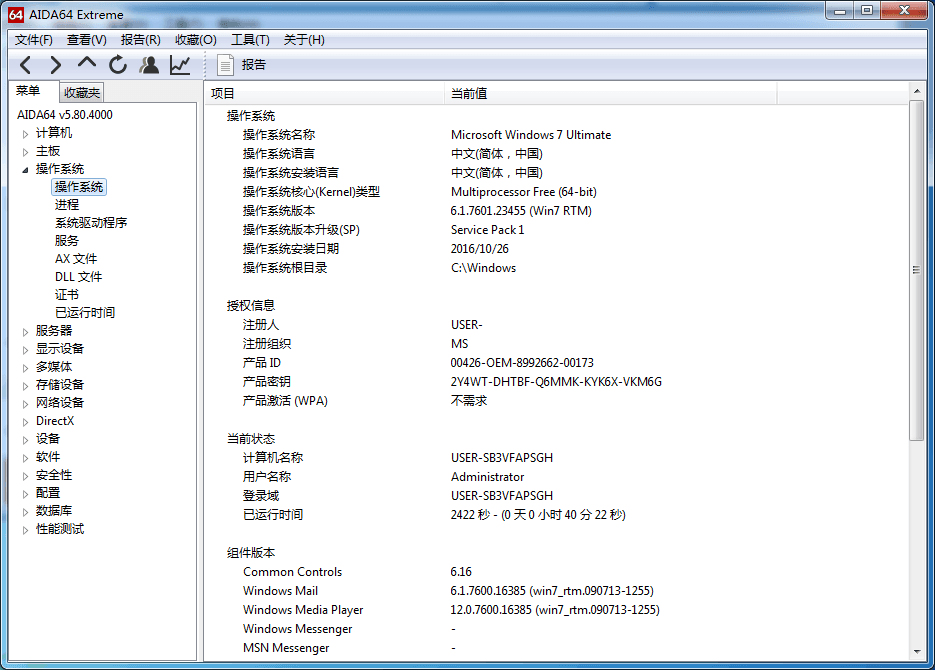 AIDA64 单文件版