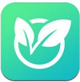 草籽游app