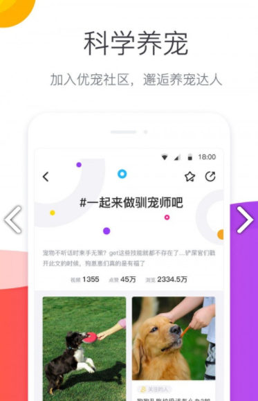 宠优优 v1.9.4