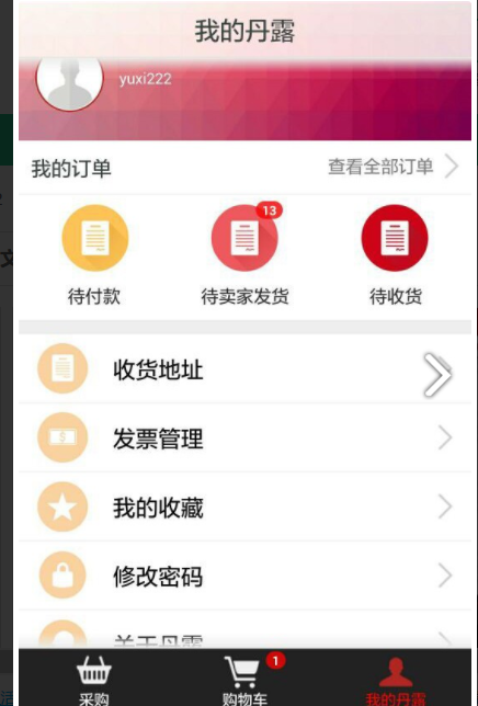 丹露终端店 v3.1.2